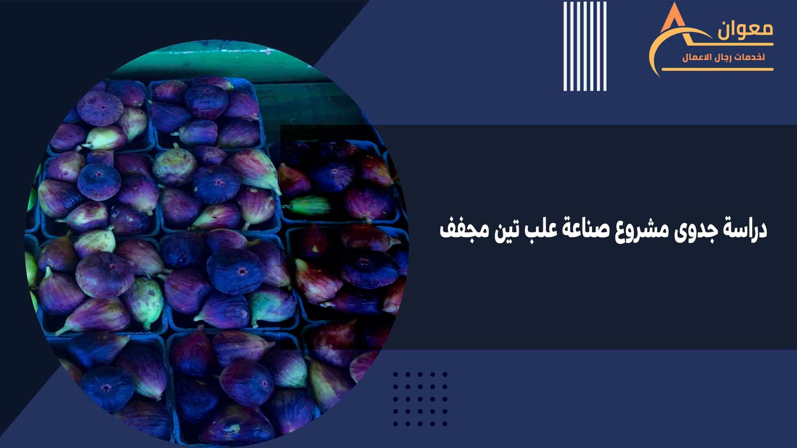 دراسة جدوى مشروع صناعة علب تين مجفف