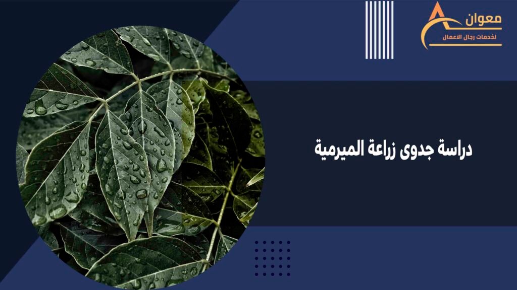 دراسة جدوى زراعة الميرمية