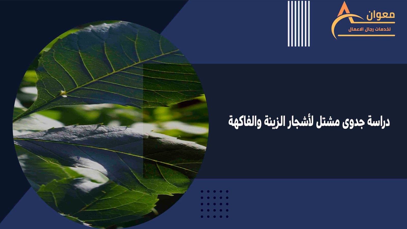 دراسة جدوى مشتل لأشجار الزينة والفاكهة