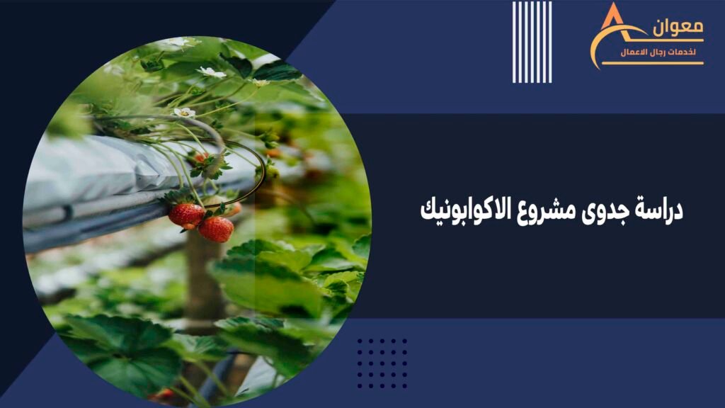 دراسة جدوى مشروع الاكوابونيك