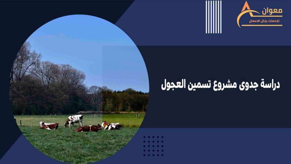 دراسة جدوى مشروع تسمين العجول