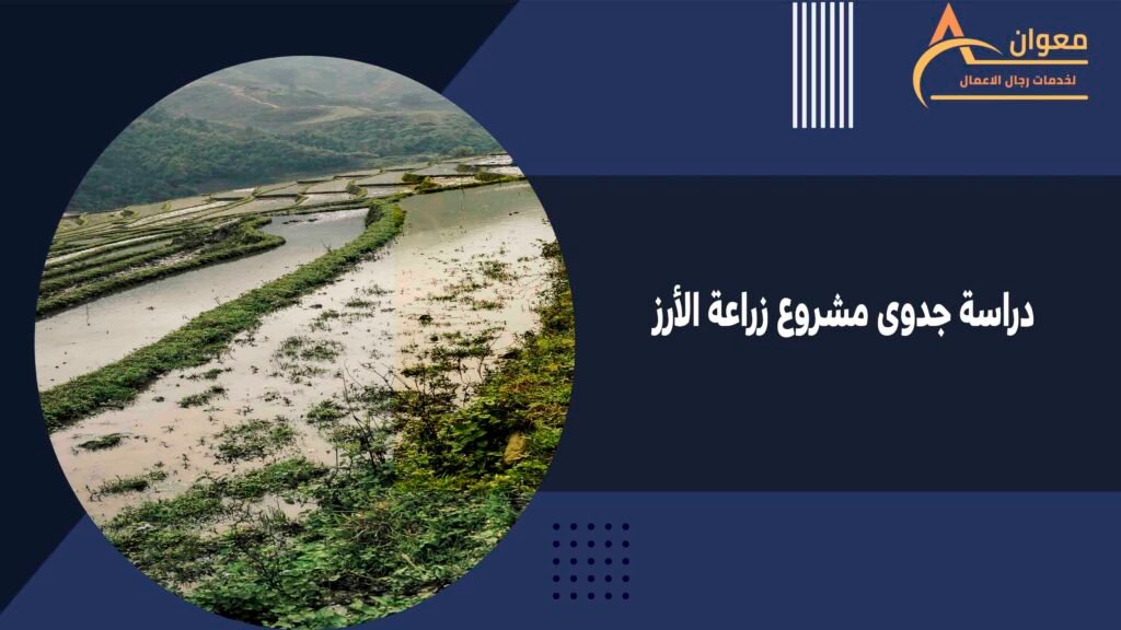 دراسة جدوى مشروع زراعة الأرز