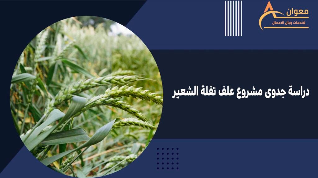 دراسة جدوى مشروع علف تفلة الشعير