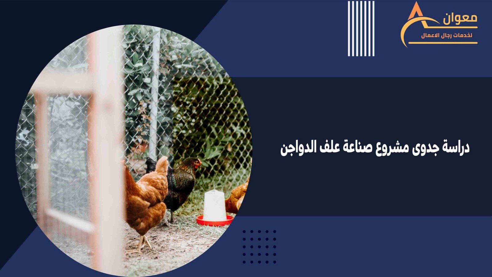 دراسة جدوى مشروع صناعة علف الدواجن