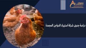 دراسة جدوى شركة استيراد الدواجن المجمدة
