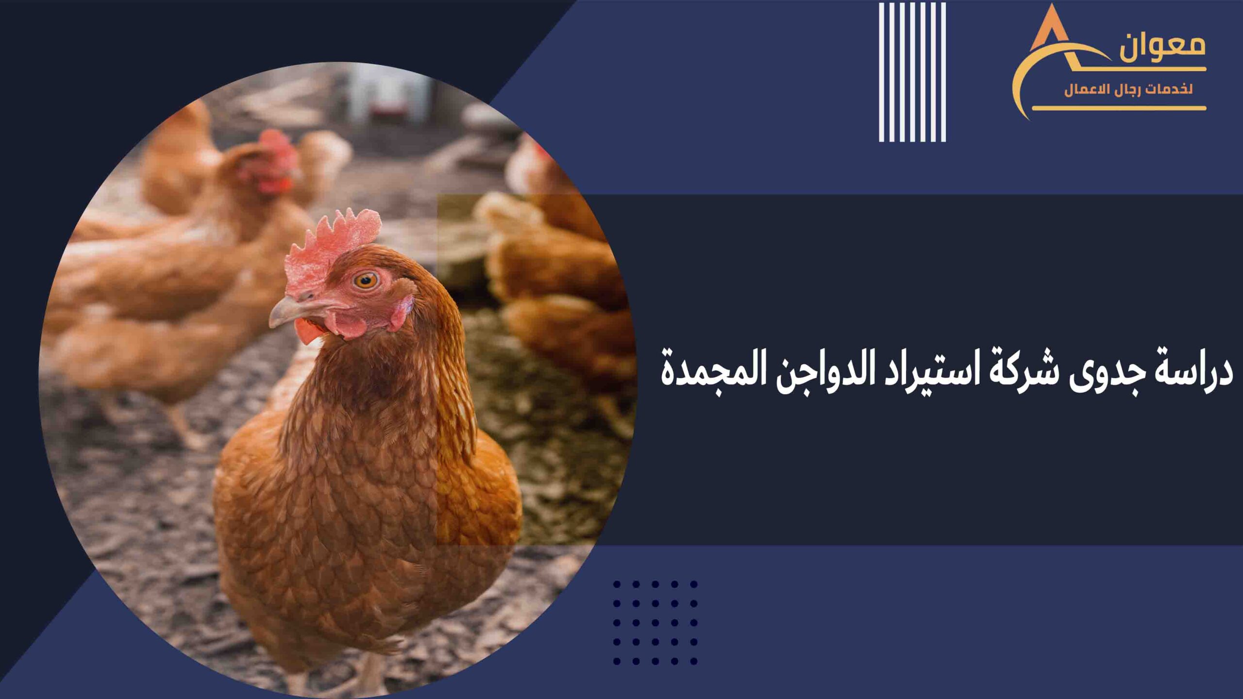 دراسة جدوى شركة استيراد الدواجن المجمدة