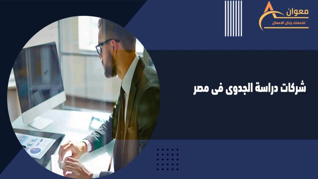 شركات دراسة الجدوى فى مصر