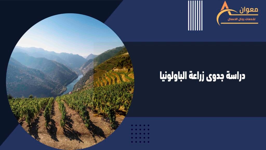 دراسة جدوى زراعة الباولونيا