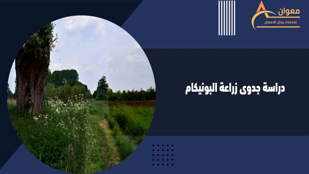 دراسة جدوى زراعة البونيكام