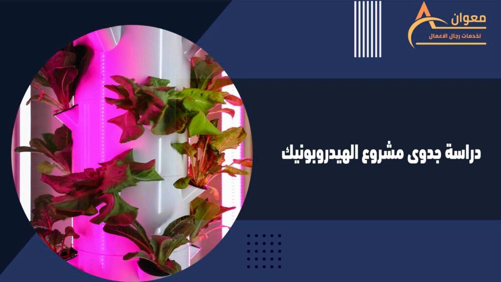 دراسة جدوى مشروع الهيدروبونيك