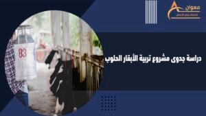 دراسة جدوى مشروع تربية الأبقار الحلوب