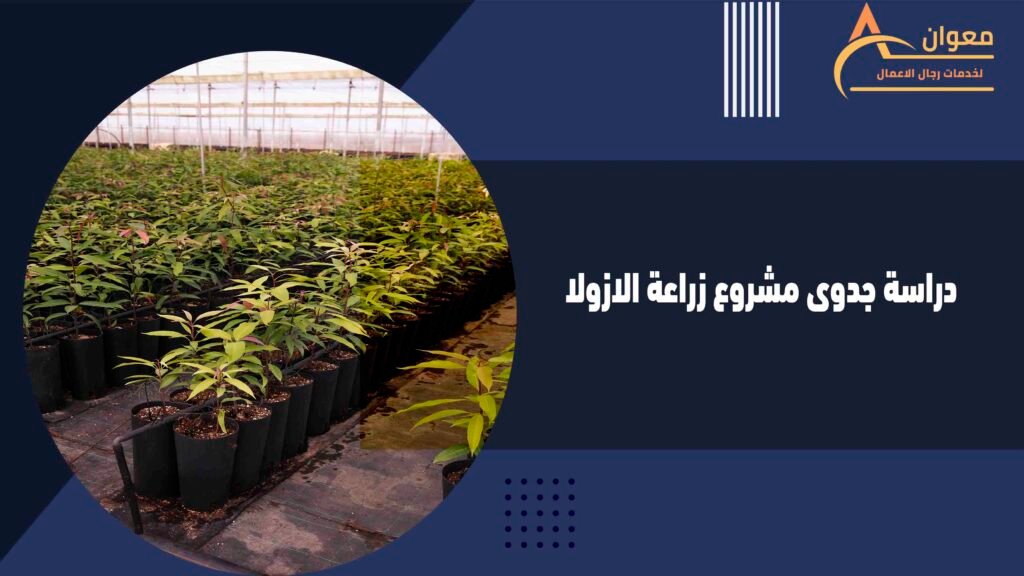 دراسة جدوى مشروع زراعة الازولا