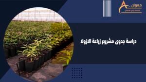 دراسة جدوى مشروع زراعة الازولا