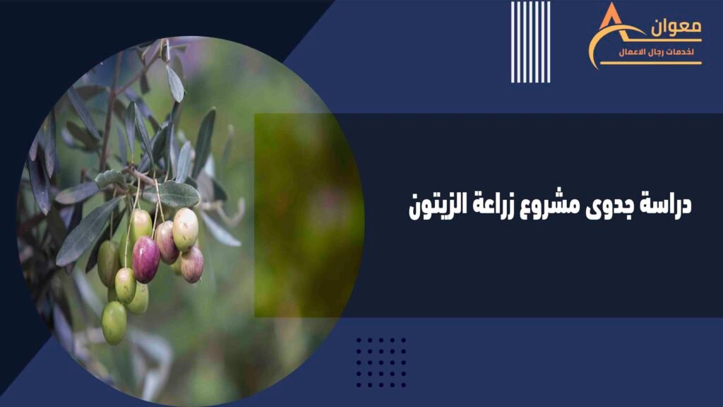 دراسة جدوى مشروع زراعة الزيتون
