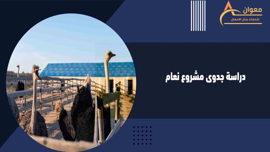 دراسة جدوى مشروع نعام