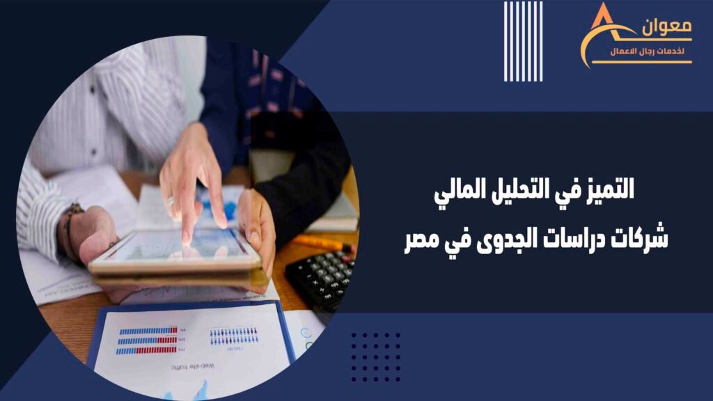 التميز في التحليل المالي شركات دراسات الجدوى في مصر