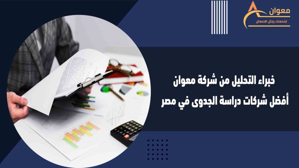 خبراء التحليل من شركة معوان أفضل شركات دراسة الجدوى في مصر