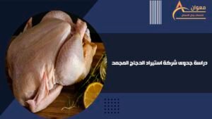 دراسة جدوى شركة استيراد الدجاج المجمد