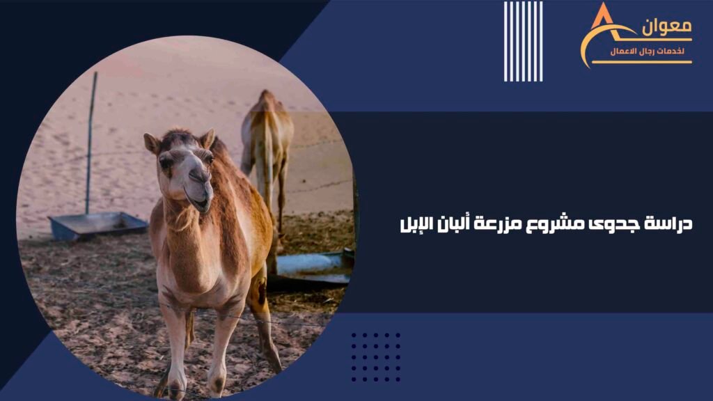 دراسة جدوى مشروع مزرعة ألبان الإبل