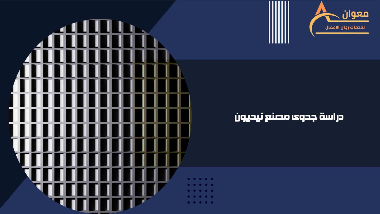 دراسة جدوى مصنع نيديون