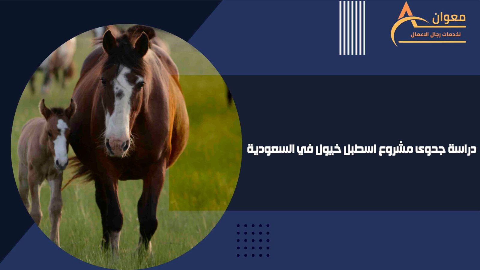 دراسة جدوى مشروع اسطبل خيول في السعودية
