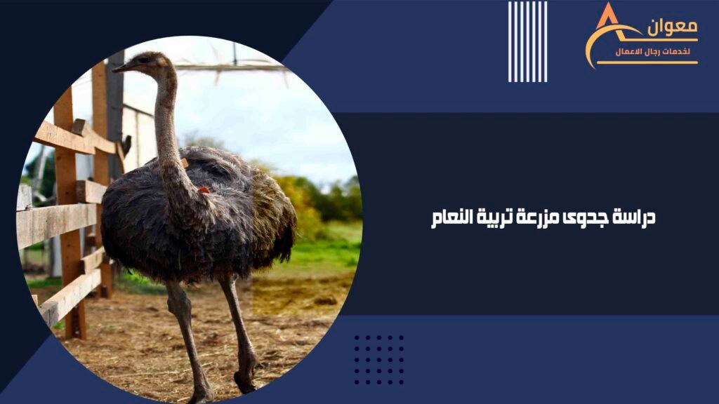 دراسة جدوى مزرعة تربية النعام