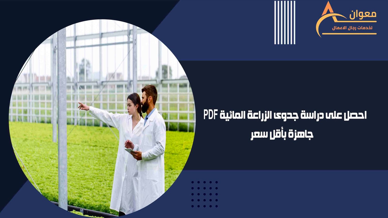 احصل على دراسة جدوى الزراعة المائية PDF جاهزة بأقل سعر