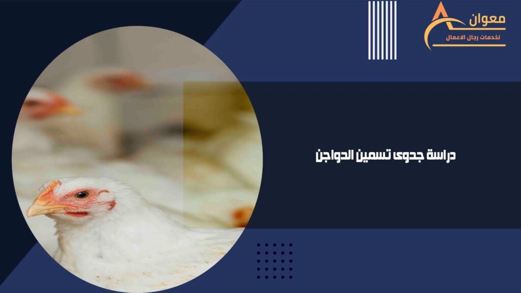 دراسة جدوى تسمين الدواجن