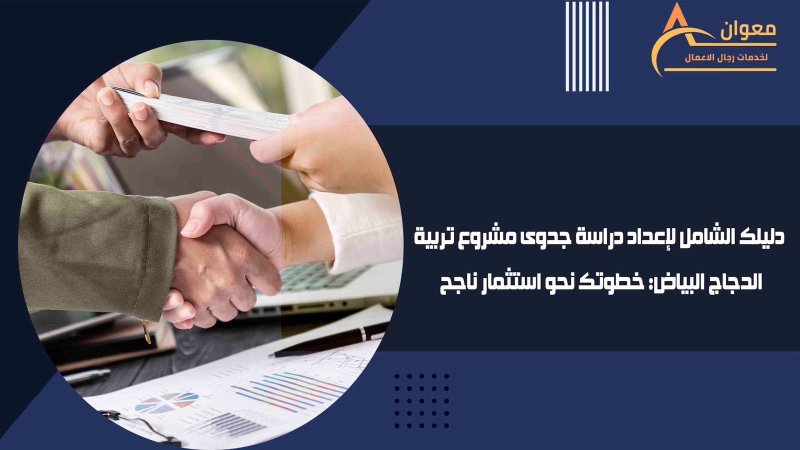 دليلك الشامل لإعداد دراسة جدوى مشروع تربية الدجاج البياض خطوتك نحو استثمار ناجح