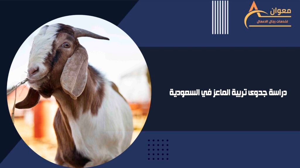 دراسة جدوى تربية الماعز في السعودية