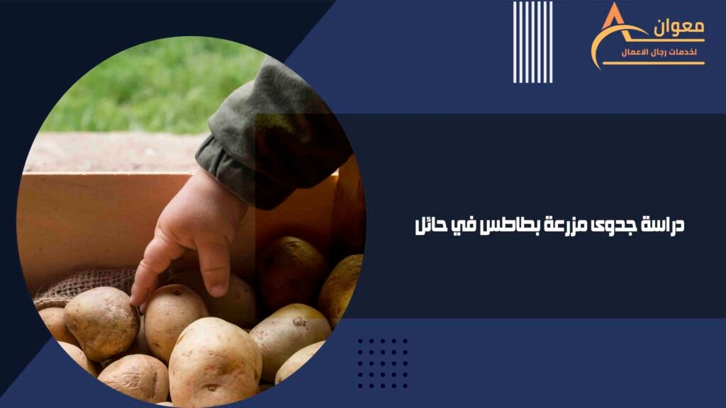 دراسة جدوى مزرعة بطاطس في حائل