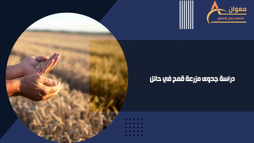دراسة جدوى مزرعة قمح في حائل