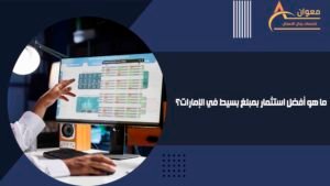 ما هو أفضل استثمار بمبلغ بسيط في الإمارات؟