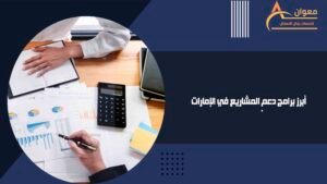 أبرز برامج دعم المشاريع في الإمارات