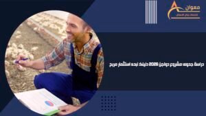 دراسة جدوى مشروع دواجن 2026 دليلك لبدء استثمار مربح