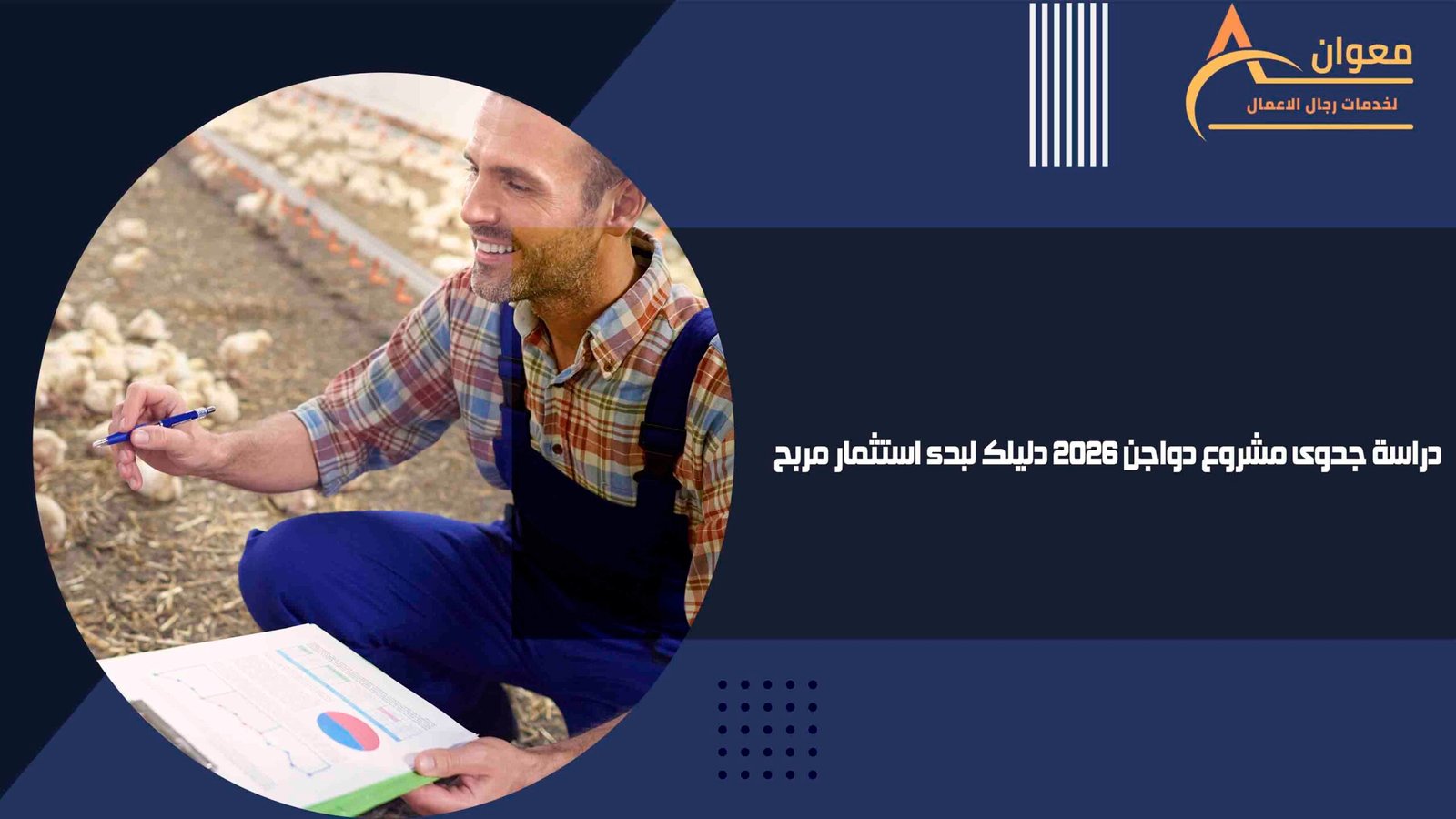 دراسة جدوى مشروع دواجن 2026 دليلك لبدء استثمار مربح