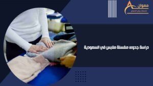 دراسة جدوى مغسلة ملابس في السعودية