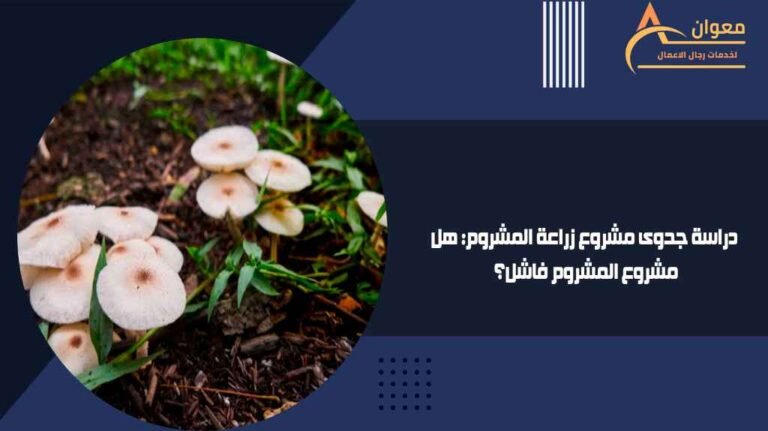 دراسة جدوى مشروع زراعة المشروم هل مشروع المشروم فاشل؟