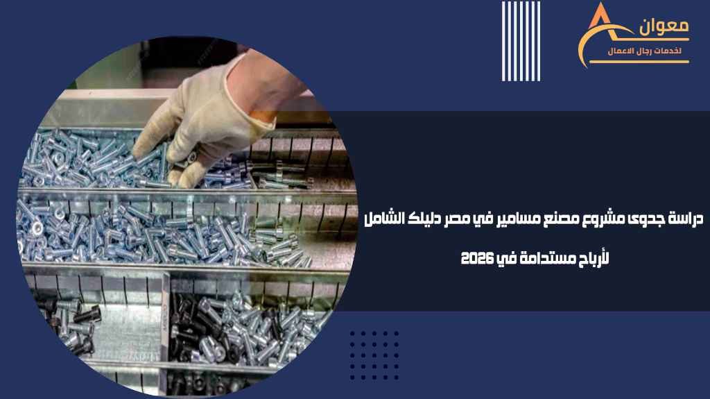 دراسة جدوى مشروع في مصر دليلك الشامل لأرباح مستدامة في 2026