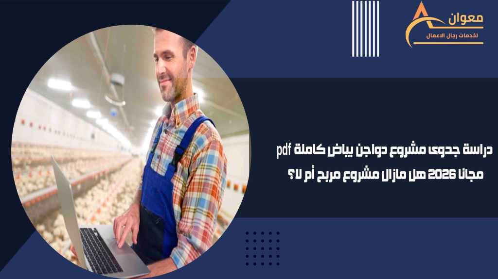 دراسة جدوى مشروع دواجن بياض كاملة pdf مجانا 2026 هل مازال مشروع مربح أم لا؟