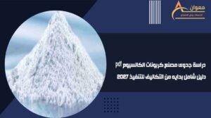 دراسة جدوى مصنع كربونات الكالسيوم pdf دليل شامل بدايه من التكاليف للتنفيذ 2027